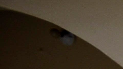 AME7763. GUAYAQUIL (ECUADOR), 05/05/2020.- Fotografía de archivo fechada el pasado 17 de abril de 2020 en la que miembros de la Fuerza de Tarea Conjunta (FTC) recolectan cadáveres en medio de la pandemia de la COVID-19 en Guayaquil (Ecuador). La Fiscalía de Ecuador ha abierto una investigación por la compra a sobreprecio para ese hospital de bolsas de cadáveres a 148 dólares, en lugar de los 12 que suelen costar en el mercado. Es la nueva vuelta de tuerca de la telenovela que salpica una y otra vez a la ciudad ecuatoriana más castigada por el COVID-19, Guayaquil, donde los escándalos se reproducen desde hace dos meses poniendo en tela de juicio la gestión gubernamental de la crisis. El nuevo caso de presunta corrupción, por el que hay cuatro personas bajo arresto preventivo, está relacionado, esta vez, con sobreprecios en la compra de insumos médicos en un hospital público, y entre ellos 4.000 bolsas para la recogida de cadáveres. EFE/ Mauricio Torres