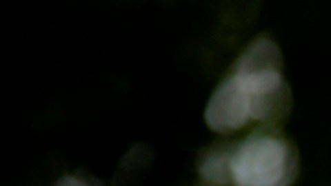 A group of doctors and employees of the Ministry of Health of San Salvador, El Salvador 18 May 2020, called on Monday to Congress to maintain the containment measures through a state of emergency. The Constitutional Chamber of the Supreme Court of Justice of El Salvador temporarily suspended this Monday the state of emergency decree issued by the Government of Nayib Bukele, who dispensed with Congress to take the measure. EFE/Rodrigo Sura