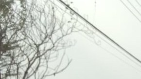 Escena crimen México