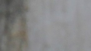 MEXICO-VIOLENCE-CRIME-MASS GRAVE
Soldiers secure the area where a clandestine mass grave was discovered at Lomas del Vergel in the community of Zapopan, Jalisco state, Mexico, on January 16, 2020. - Nearly 2,500 murders were reported between January and November in Jalisco --  a state hard-hit by violence linked to organized crime -- state authorities have said. (Photo by Ulises Ruiz / AFP) (Photo by ULISES RUIZ/AFP via Getty Images)