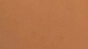 Felipe Calderón y AMLO