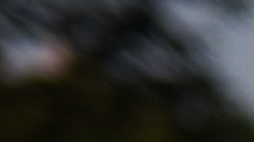 La jueza argumental que la cancelación de la cita electoral "priva" a neoyorquinos de su derecho al voto.