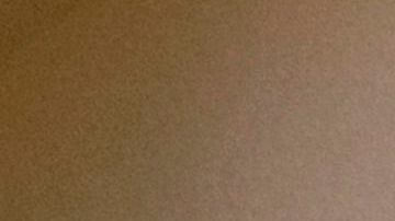 Ayuda cheque inmigrantes familias mixtas Ley CARES MALDEF CORONAVIRUS