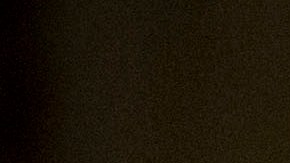 Elon Musk cumplió su palabra y ya comenzó a vender sus lujosas mansiones.