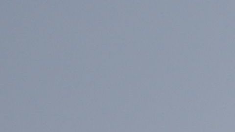 Cheque estímulo dinero Iowa IRS Steven Mnuchin Sarah Ziegenhorn Ley CARES Donald Trump coronavirus