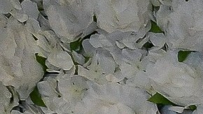 Clan Kardashian-Jenner.