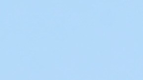 Los visitantes del parque Yellowstone deben permanecer a más de 90 metros de animales como el bisonte.