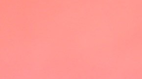 Además de conducir en estado de ebriedad, Ed Oliver portaba ilegalmente un arma.