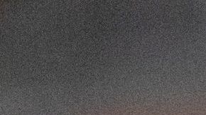 Elon Musk Tesla Alameda California coronavirus COVID-19