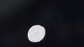 Cristiano Ronaldo entrenando con la Juventus.