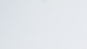 Charli D'Amelio y Dixie D'Amelio.