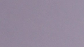 Cara Delevingne y Ashley Benson.