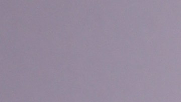 Cara Delevingne y Ashley Benson.