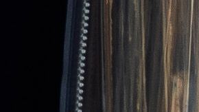 Una residente de la ciudad de Long Beach, California paseando a su mascota.