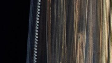 Una residente de la ciudad de Long Beach, California paseando a su mascota.