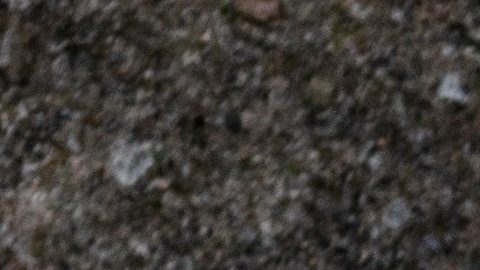 Mascarillas