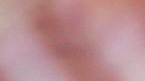 Las concentraciones continúan pese a que los estados han flexibilizados las medidas contra COVID-19.