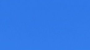 Wendy's carne escasez Costco McDonald's Burger King restaurantes COVID-19 Ohio Michigan Nueva York