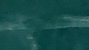 Joe Biden ganó la elección primaria en Nebraska.