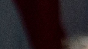 Fauci aseguró que llevaría mascarilla en sus paseos y caminatas.