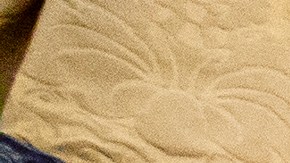 La bandera oficial de la Fuerza Espacial de EEUU fue desplegada en la Oficina Oval.