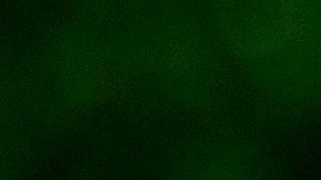 Decenas de personas salen a los parques.