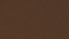 Great Clips estilista coronavirus COVID-19 contagios Missouri Springfield clientes Clay Goddard