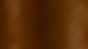 El presidente Donald Trump recibió una tarjeta de débito con su nombre.