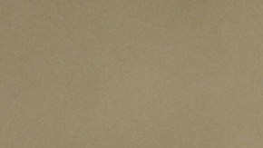 Fauci es el primer cargo de la Administración Trump en contradecir al presidente respecto al fármaco.