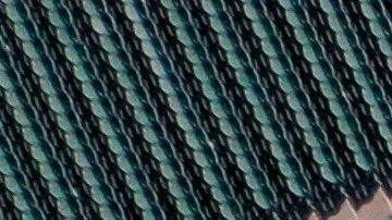 El documento con el protocolo médico de Ligas Mayores consta de 67 páginas.