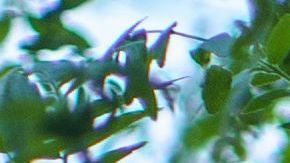 La muerte de Floyd ha originado protestas a nivel nacional.