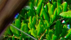 Restaurante Los Ángeles California economía distanciamiento social trabajadores comidas cenas desempleo reapertura