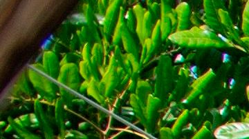 Restaurante Los Ángeles California economía distanciamiento social trabajadores comidas cenas desempleo reapertura