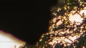 Protestas en Minneapolis