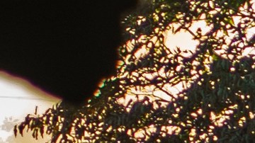 Protestas en Minneapolis