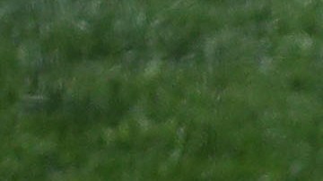 La Organización de Béisbol de Corea (KBO) iniciará su temporada regular a puerta cerrada.