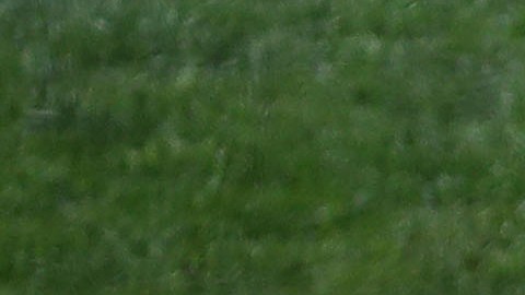 La Organización de Béisbol de Corea (KBO) iniciará su temporada regular a puerta cerrada.