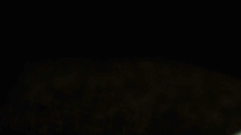 cheque de estímulo