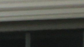 Heuwetters perros Buddy Barley cerveza coronavirus pandemia COVID-19 Huntington Nueva York golden retriever distanciamiento social