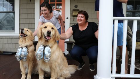 Heuwetters perros Buddy Barley cerveza coronavirus pandemia COVID-19 Huntington Nueva York golden retriever distanciamiento social