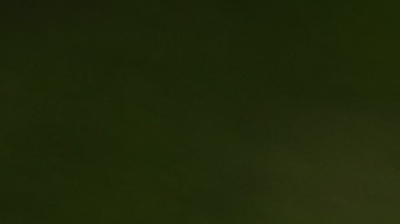 National Nurses United colocó 88 pares de zapatos que representan a las enfermeras que murieron a causa de COVID-19 frente a la Casa Blanca el 7 de mayo de 2020.