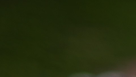 National Nurses United colocó 88 pares de zapatos que representan a las enfermeras que murieron a causa de COVID-19 frente a la Casa Blanca el 7 de mayo de 2020.