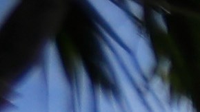 La emblemática avenida de Lincoln Road, en Miami Beach (Florida), completamente vacía.