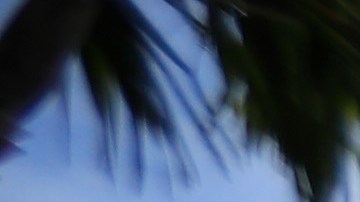 La emblemática avenida de Lincoln Road, en Miami Beach (Florida), completamente vacía.