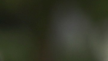 Desempleo Estados Unidos Seguro de desempleo estímulo Abril economía crisis coronavirus COVID-19 Recesión