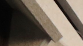 Manifestantes protestan frente a la sede del Departamento de Policía.