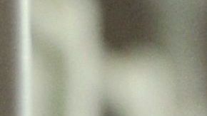 Paloma en una jaula.