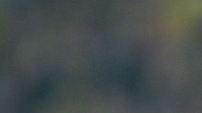 Jürgen Klopp tomando cerveza después de un partido dirigiendo al Borussia Dortmund.