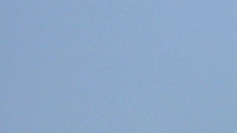 A raíz del ataque se han reportado avistamientos de tiburones en la zona.