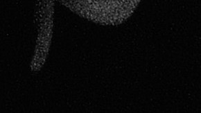 Joe 'Descalzo' Jackson jugó en 1910 para los Pelícanos de Nueva Orleans de Ligas Menores.